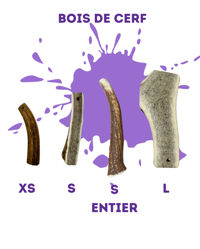 bois de cerf