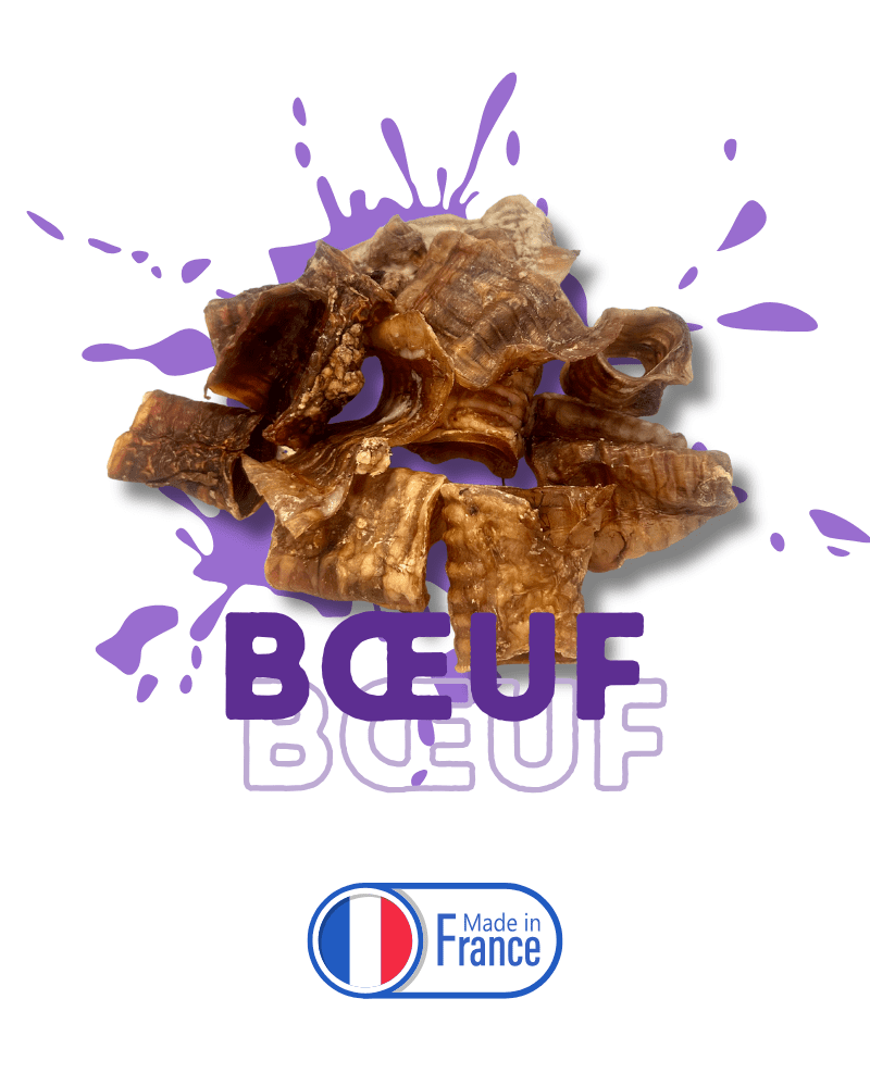 Trachée de bœuf