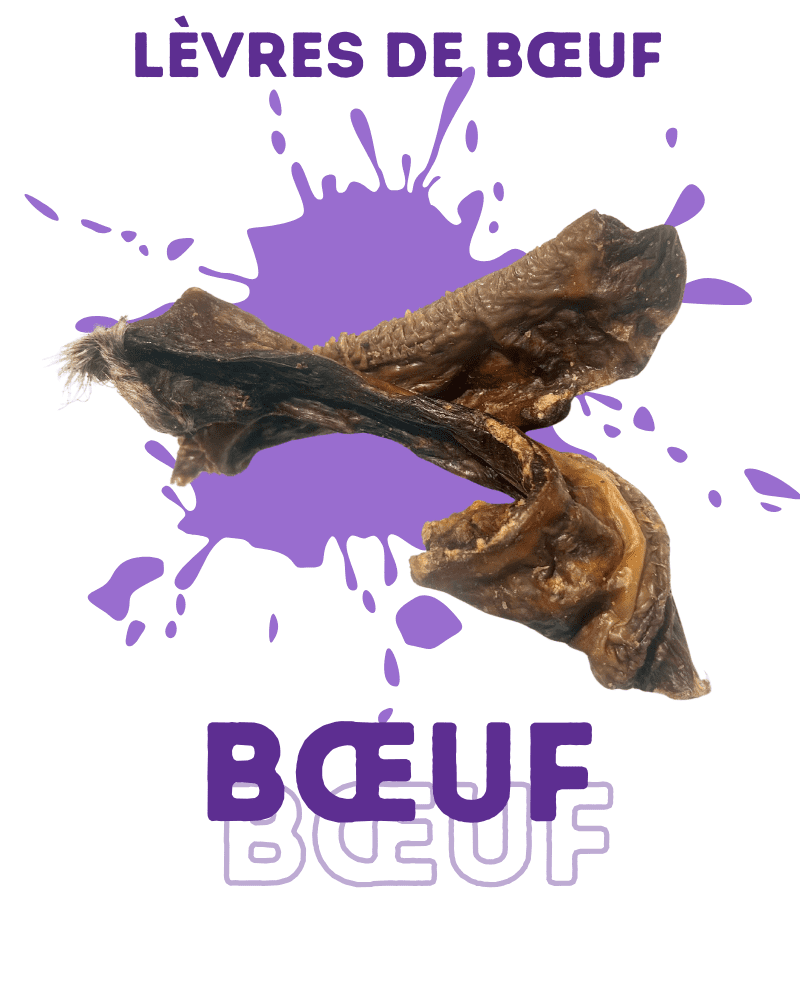 Lèvres de bœuf