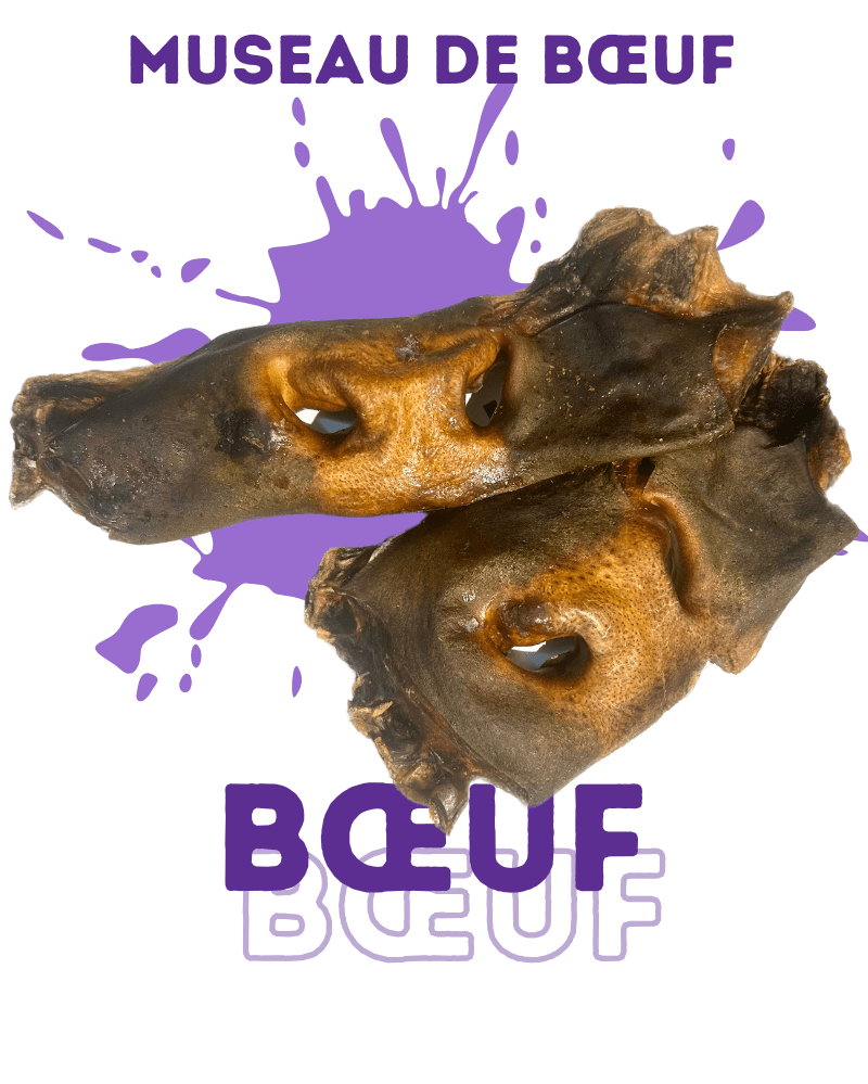 Museau de bœuf