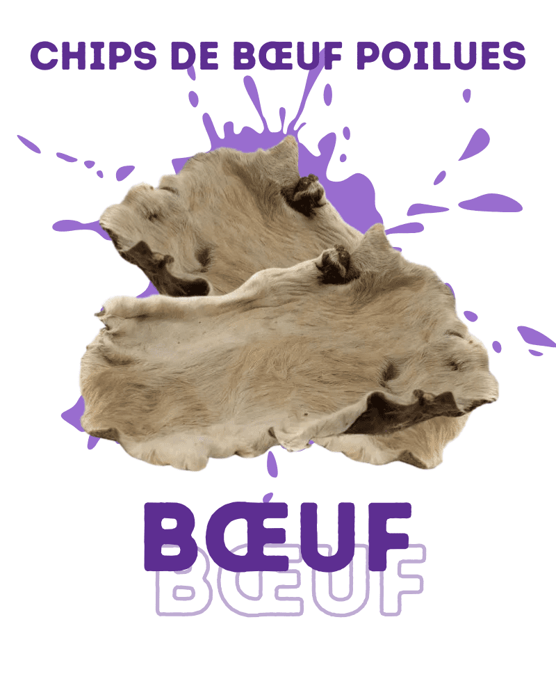 Chips de bœuf poilues