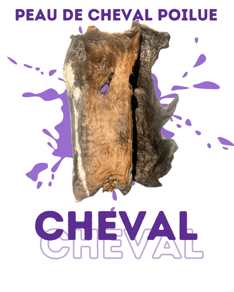 Peau de cheval poilue