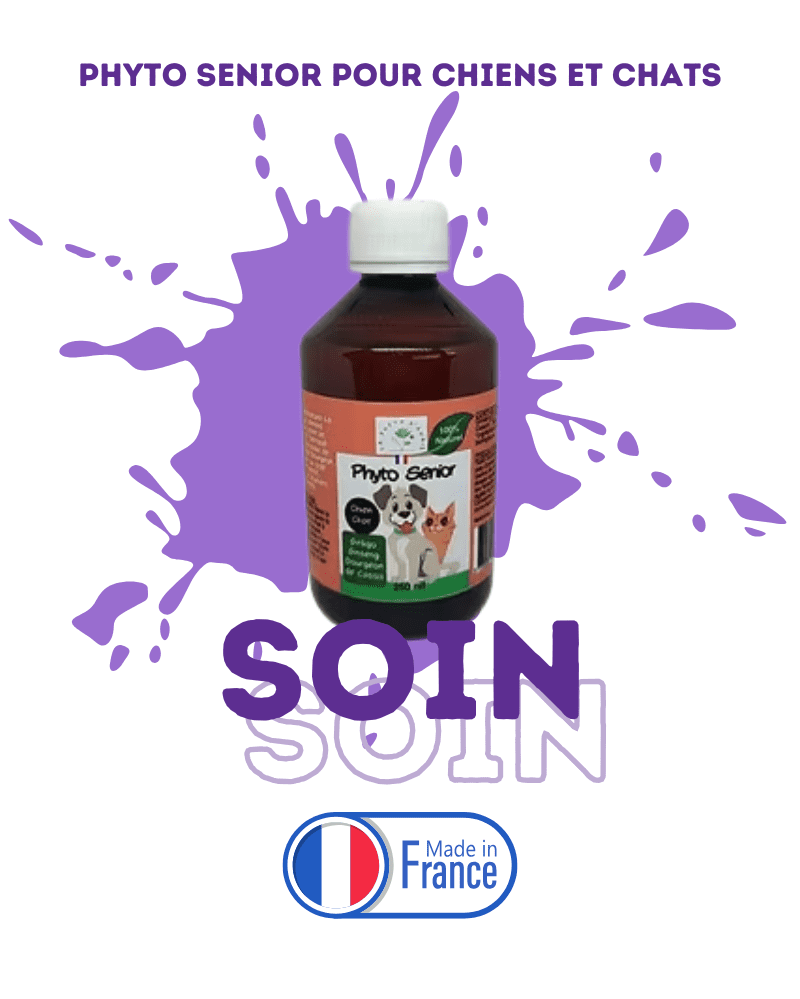 Phyto Senior pour chiens et chats