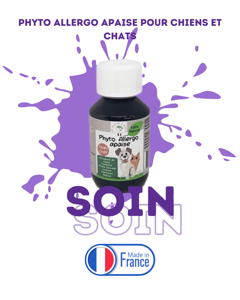 Phyto allergo apaise pour chiens et chats