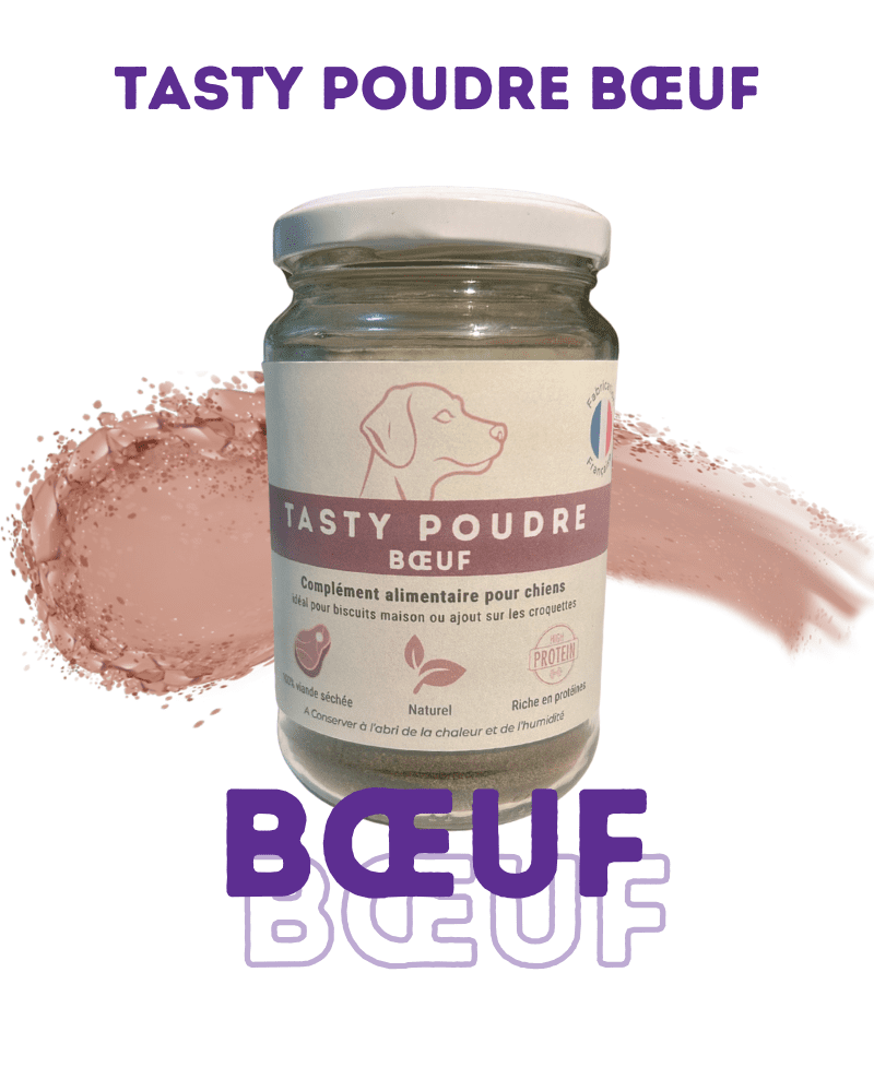 tasty poudre bœuf