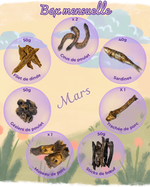 Box Chien Mars