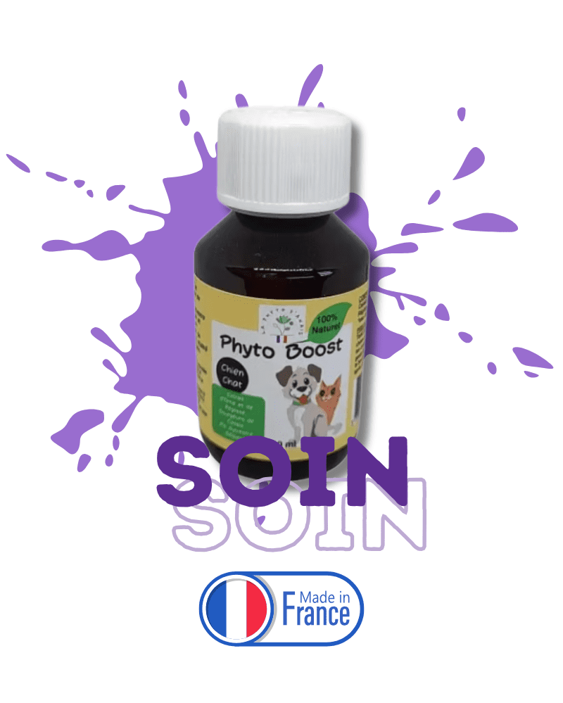 vitalite chien chat complement naturel energie fatigue animal