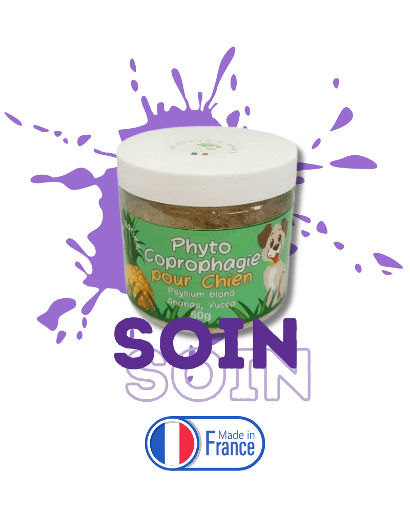 coprophagie chien solution naturelle stop chien mange crottes