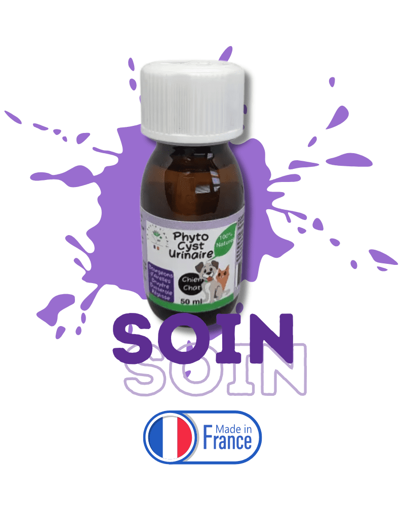 infection urinaire chien chat solution naturelle voies urinaires