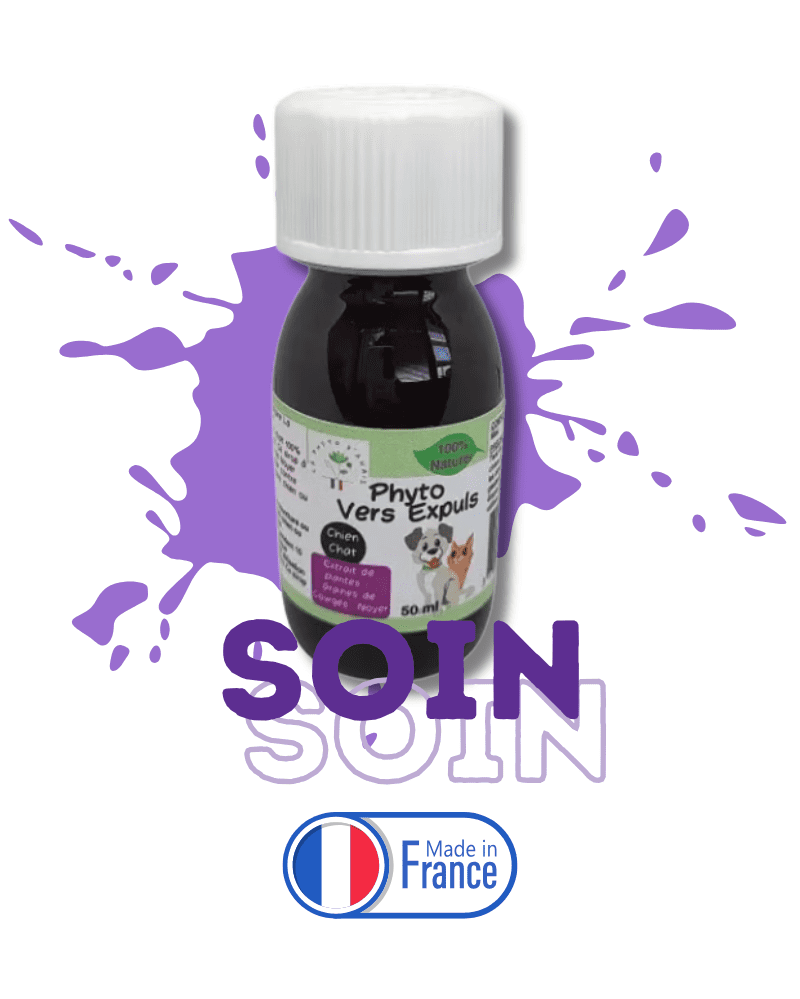 vers chien chat solution naturelle parasites intestin transit