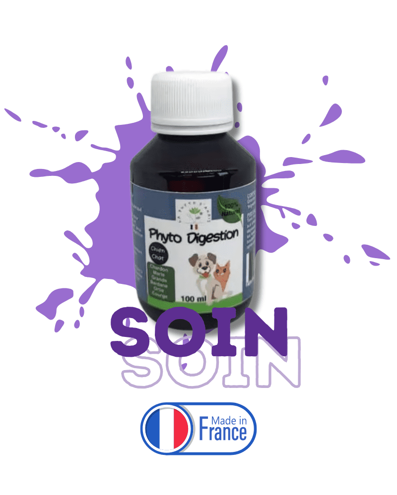 phyto digestion chien chat solution naturelle transit digestion