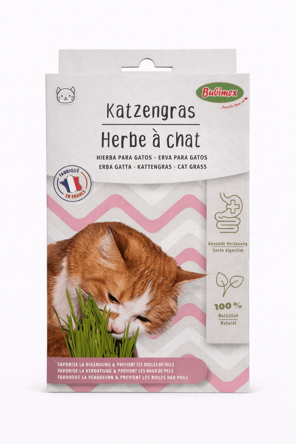 herbe à chat 100g à faire pousser naturelle