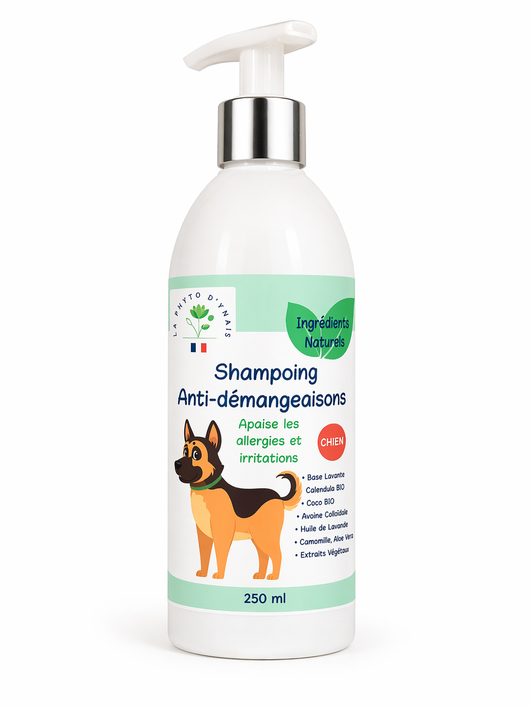 Shampoing naturel chien anti démangeaisons